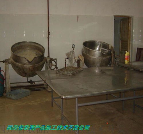 一站式桃干与桃果脯生产线解决方案 专业制造商，批发价格，四川省农副产品加工技术开发公司成都分公司