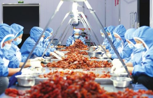 协同发展，释放活力 蜜饯产业的创新与转型之路