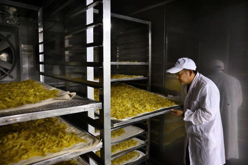 从“七叶一枝花”到致富蜜饯 李亚隆的脱贫攻坚战